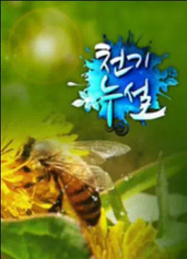 천기누설 