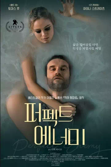 퍼펙트 에너미